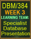 DBM/384 Specialist Database Presentation